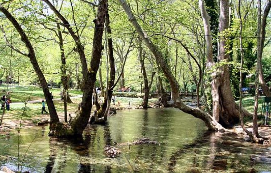 Εκδρομή το Πάσχα στην Κατερίνη <<Έληξε>>