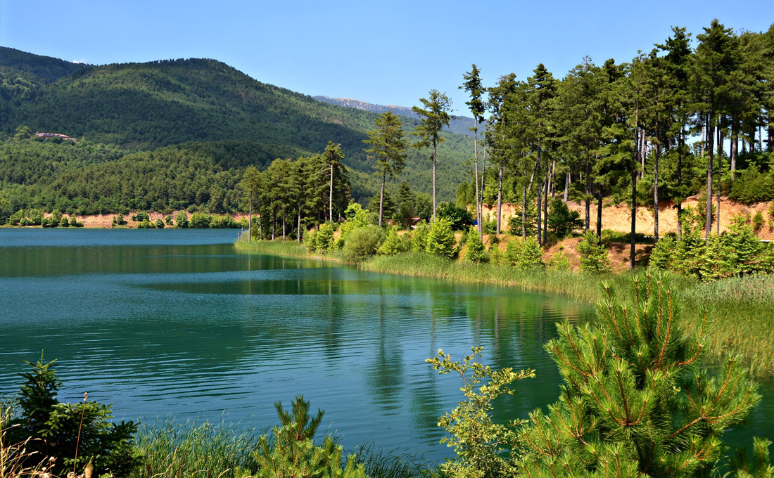 Η λίμνη Δόξα είναι μία τεχνητή λίμνη σε υψόμετρο 900 μέτρων, η οποία βρίσκεται στην Αρχαία Φενεό Κορινθίας.