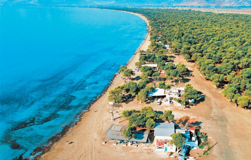 Θαλάσσια μπάνια στον Σχινιά <Έληξε>