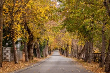 Αεροπορικές Εκδρομές Ευρώπη Μονοήμερη εκδρομή στην Βυτίνα και Λεβίδι