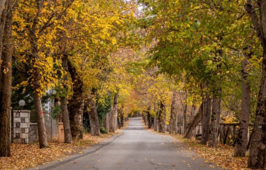 Μονοήμερη εκδρομή στην Βυτίνα και Λεβίδι