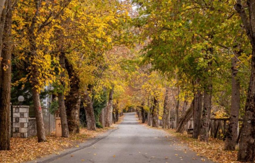 Μονοήμερη εκδρομή Χιονοδρομικό Μαίναλου και Βυτίνα