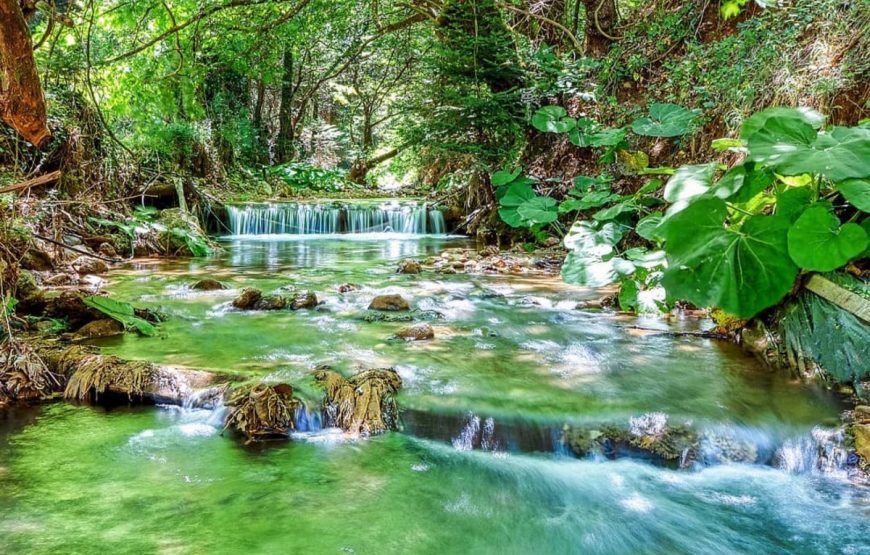 Εκδρομή στην Παύλιανη Πάρκο Αναψυχής