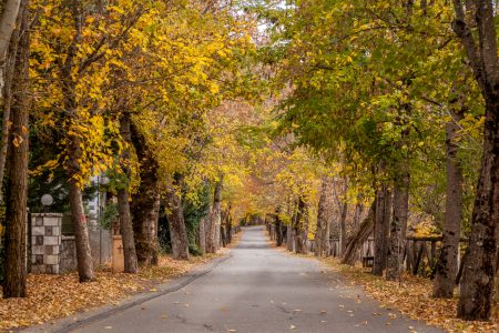 Αεροπορικές Εκδρομές Ευρώπη Εκδρομή στην Βυτίνα και Λεβίδι