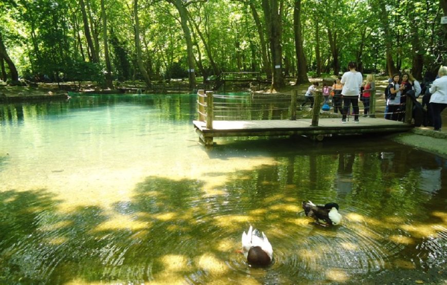 Εκδρομή στα Λουτρά Πόζαρ