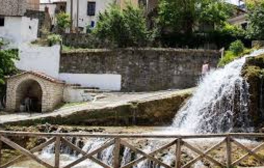 Εκδρομή “Γιορτή Κερασιού” στον Πλάτανο Κυνουρίας