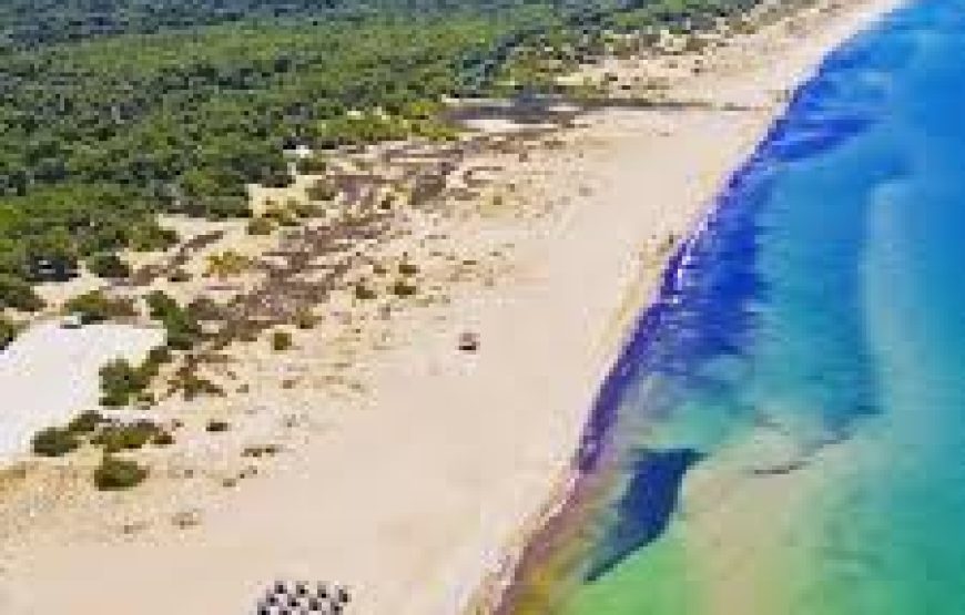 Εκδρομή Στροφυλιά Αχαΐας  Παραλία Καλογριάς