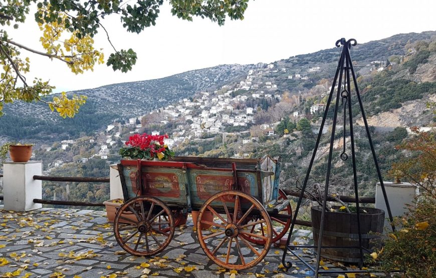 Εκδρομή Γύρος Πηλίου Βόλος