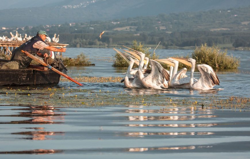 Εκδρομή στην Θεσσαλονίκη Όσιος Παίσιος Λίμνη Κερκίνη Οχυρά Ρούπελ