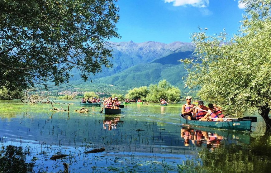 Εκδρομή Θεσσαλονίκη Λίμνη Κερκίνη Σουρωτή ‘Αγιο Παίσιο Θεοφάνεια