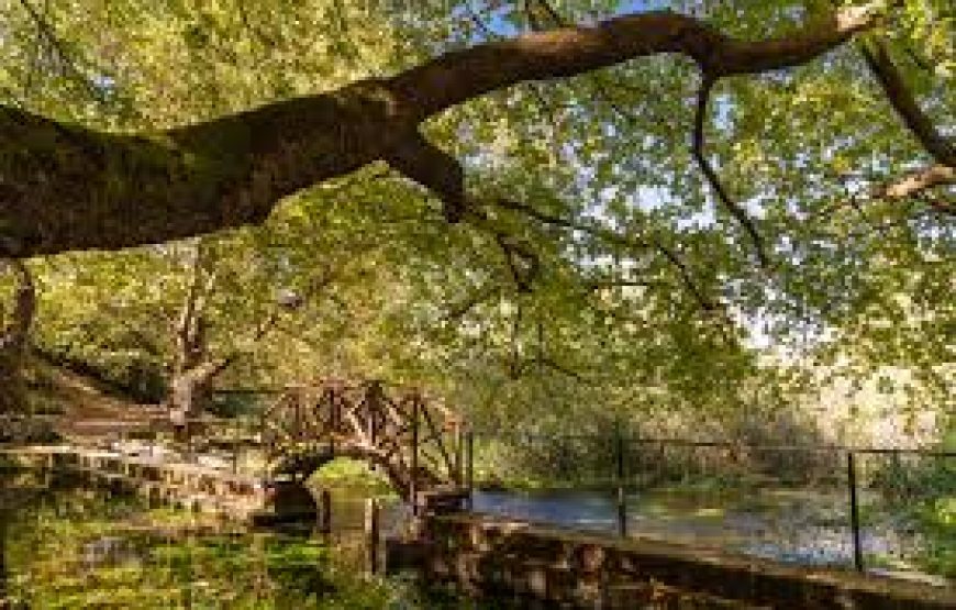 Εκδρομή στο Χάνι Γραβιάς Πολύδροσο