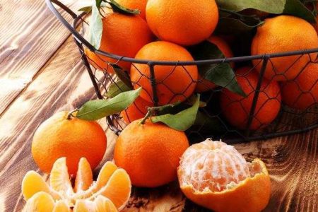 Αεροπορικές Εκδρομές Ευρώπη Εκδρομή στην Εορτή Μανταρινιού στο Δρέπανο Αργολίδας Ναύπλιο Εκδρομές στην Ελλάδα με Πούλμαν – Αεροπορικές Εκδρομές Ευρώπη