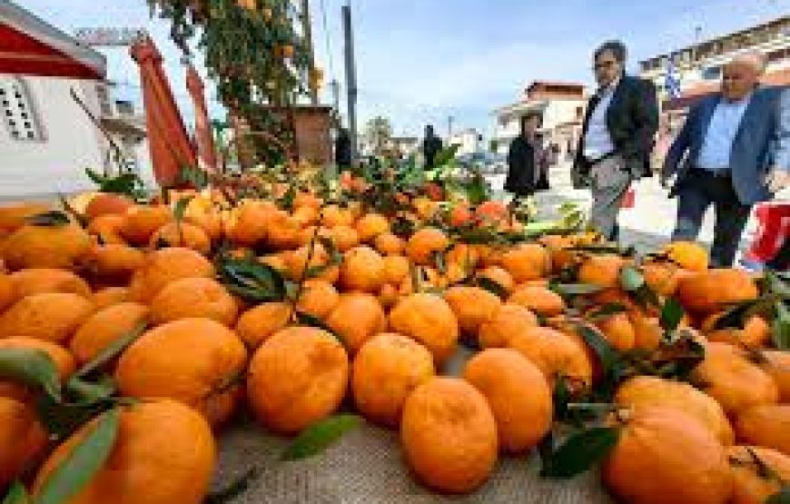 Εκδρομή στην Εορτή Μανταρινιού στο Δρέπανο Αργολίδας Ναύπλιο