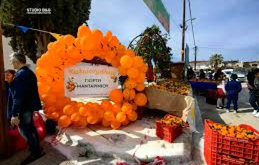 Εκδρομή στην Εορτή Μανταρινιού στο Δρέπανο Αργολίδας Ναύπλιο