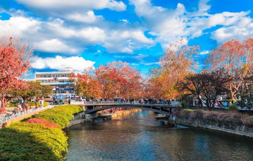 Εκδρομή για τους Χαιρετισμούς στα Μετέωρα Τρίκαλα Μέτσοβο