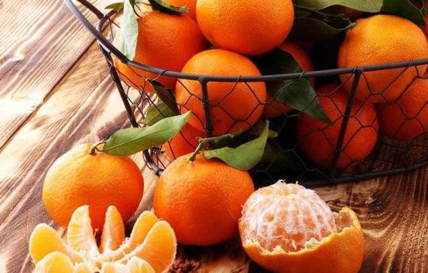 Εκδρομή στην Εορτή Μανταρινιού στο Δρέπανο Αργολίδας Ναύπλιο