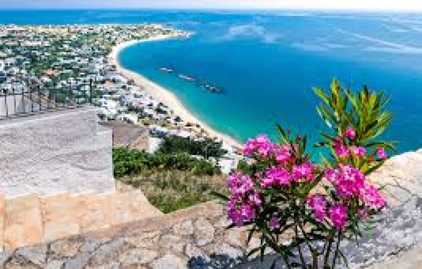 Εκδρομή στην Σκύρο