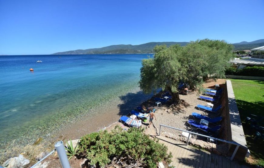 Εκδρομή στην Γιορτή Πορτοκαλιού Νέα Επίδαυρο Λουτρά Ωραίας Ελένης