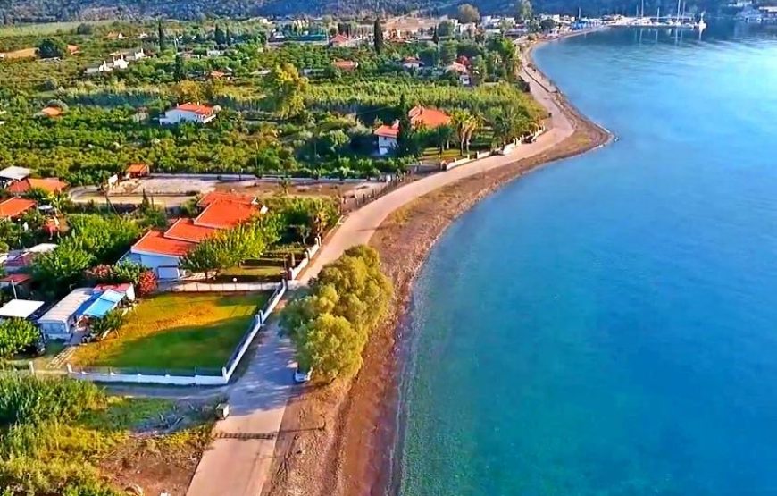 Εκδρομή στην Γιορτή Πορτοκαλιού Νέα Επίδαυρο Λουτρά Ωραίας Ελένης