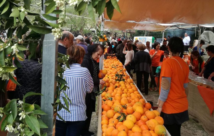 Εκδρομή στην Γιορτή Πορτοκαλιού Νέα Επίδαυρο Λουτρά Ωραίας Ελένης