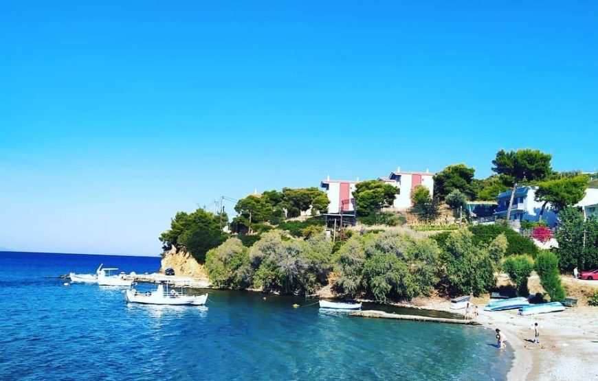 Εκδρομή στην Γιορτή Πορτοκαλιού Νέα Επίδαυρο Λουτρά Ωραίας Ελένης