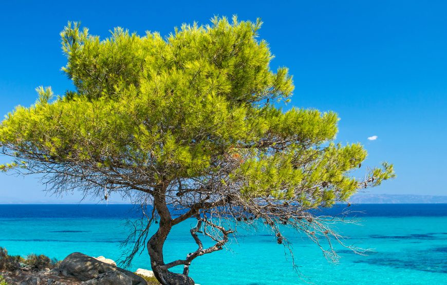 Eκδρομή στην Θεσσαλονίκη Χαλκιδική Όσιος Πάισιος Άγιο Όρος