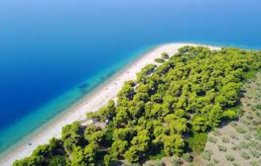 Εκδρομή στην Μονή Οσίου Δαυίδ Ροβιές