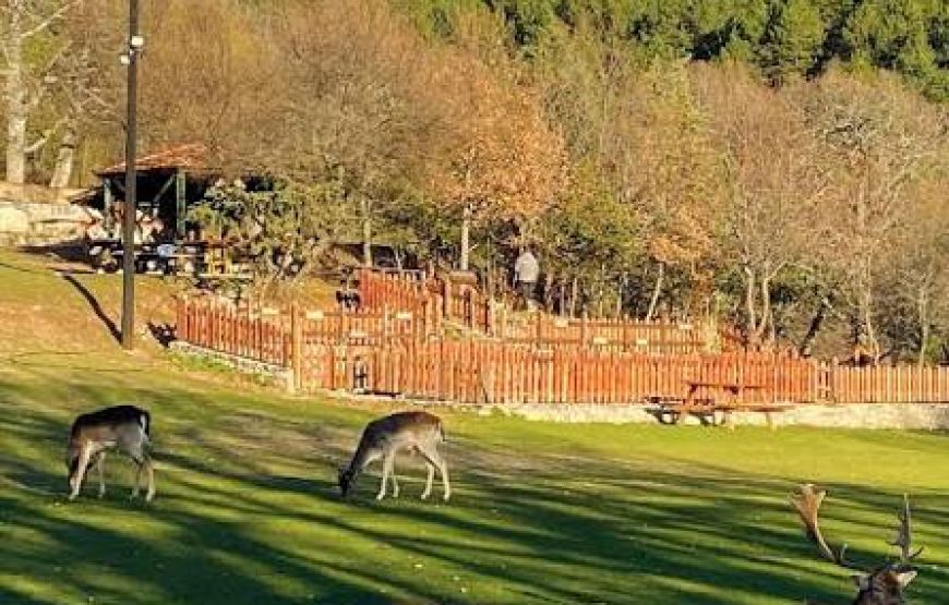 Εκδρομή Γρεβενά Κοζάνη Λίμνη Πολυφύτου