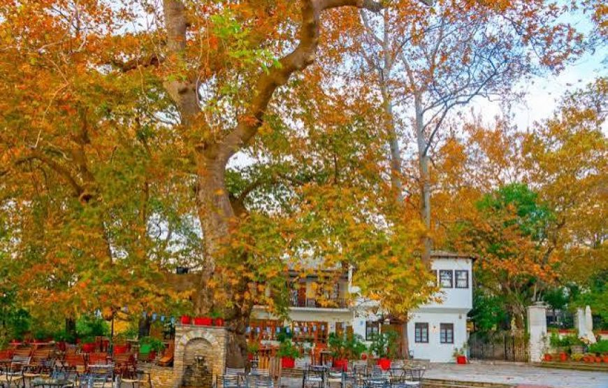 Εκδρομή στον Βόλο Πήλιο Μακρυνίτσα Πορταριά Μηλιές